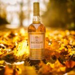 macallan-gold-whisky-in-autumn-leaves