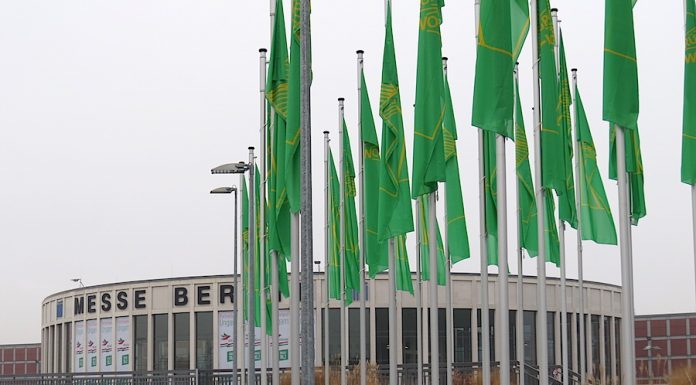 România va participa la Expoziţia Internaţională Săptămâna Verde de la Berlin, cu preparate tradiţionale expuse la stand