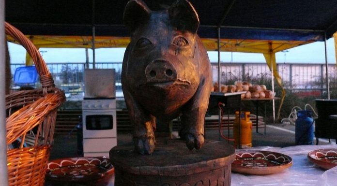 Festivalul concurs D’ale Porcului începe pe 24 noiembrie la ERA Shopping Park Oradea