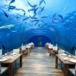 restaurant subacvatic Norvegia (1)