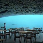 restaurant subacvatic Norvegia (3)