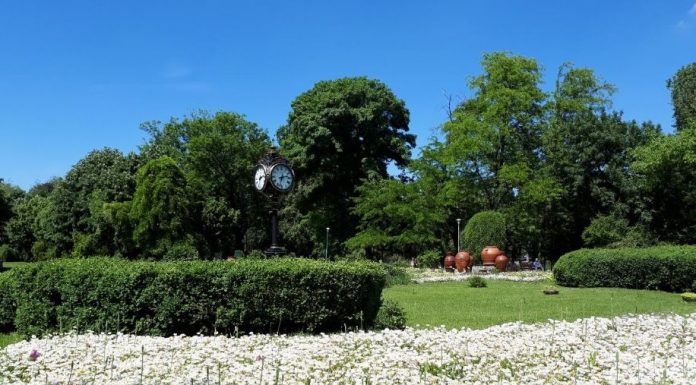 Primăria Bucureşti vrea extinderea fenomenului food truck şi street food în marile parcuri din Capitală