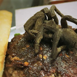 hamburger tarantula