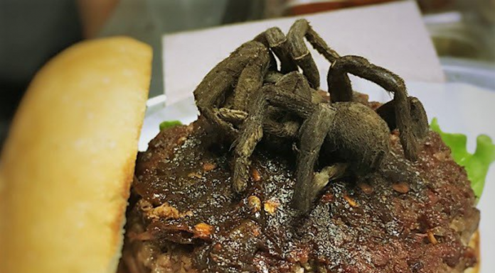 Extra topping de tarantulă pe burger; Asta se mănâncă în Carolina de Nord