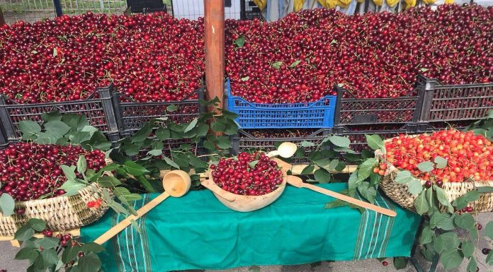 Plăcintă de cireşe de 30 de metri lungime la Bucureşti; Iată ce vă aşteaptă la Târgul Cireşelor