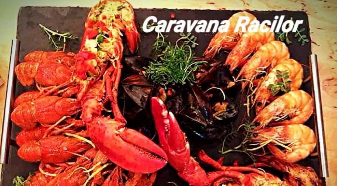 Raci, Scoici, Rapane, Caracatiţă, toate ajung la Timişoara cu Caravana Racilor