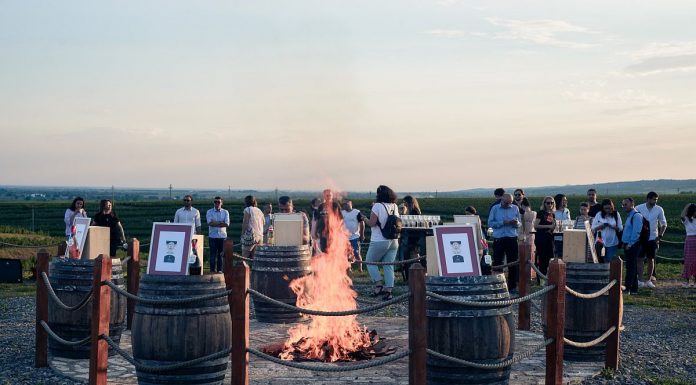 Vinurile Tohani România s-au întors cu 6 medalii de la Champions of Wine New York