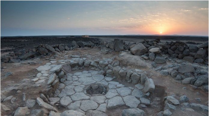 Cea mai veche pâine din lume are 14.400 de ani şi datează din pre-agricultură