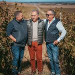 Proiectul Valahorum reuneşte 3 crame pentru a produce vinuri premium la nivel local