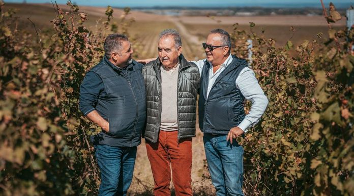 Proiectul Valahorum reuneşte 3 crame pentru a produce vinuri premium la nivel local