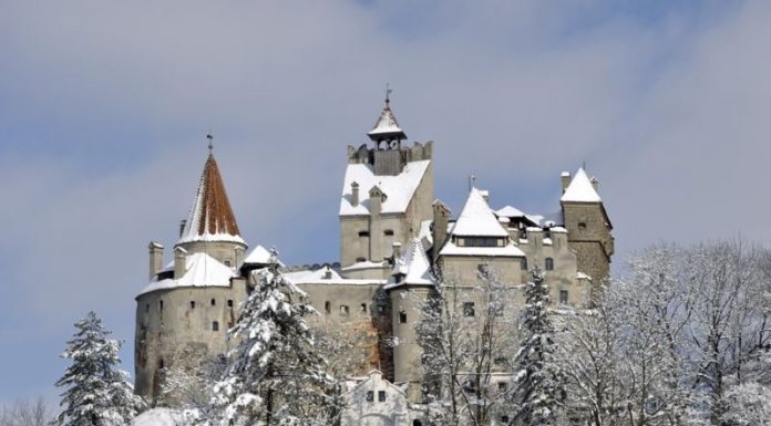 Castelul Bran inaugurează „Luna Porcului” astăzi; Iată ce vă aşteaptă