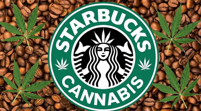 Starbucks ar putea fi prima mare franciză care va lansa băuturi cu cannabis