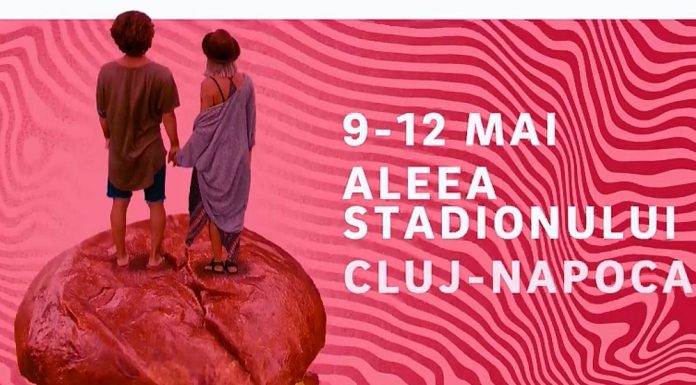 Street Food Festival ajunge la Cluj între 9 şi 12 mai, pe Aleea Stadionului