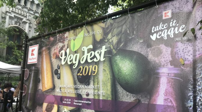 Cum a fost la VegFest 2019: festival dedicat veganilor şi vegetarienilor, cu concurs de burgeri