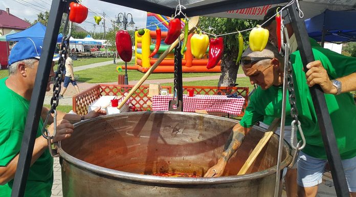 Festivalul Tocăniţei începe pe 20 iulie, cu ceaune încinse şi multe bunătăţi