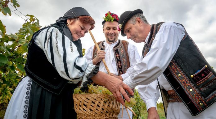 Jidvei lansează campania „Must de la Jidvei”, sprijină producătorii de vin de casă