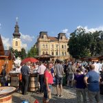 targ-produse-traditionale-timisoara-piata-traian_024