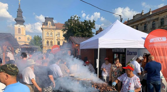 Primarul Robu de la Timişoara a pus gând rău grătarelor făcute în aer liber şi manelelor; Fără fum la evenimente publice de acum încolo!?