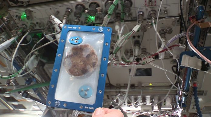 Primul preparat copt în spaţiu este un fursec cu ciocolată; A fost pregătit pe Staţia Spaţială Internaţională