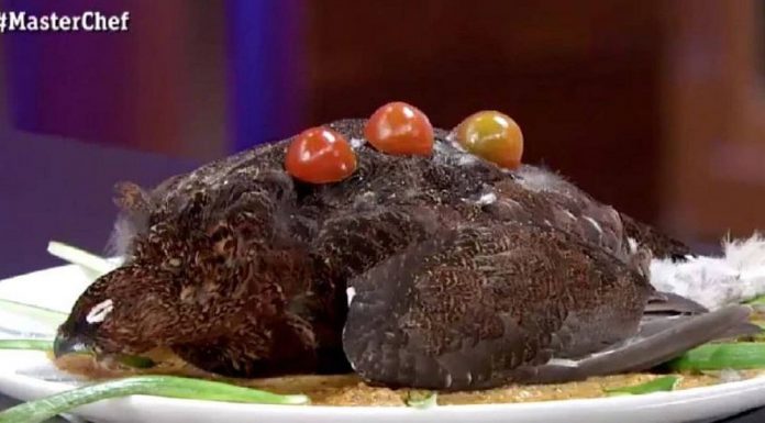 Cel mai prost preparat din istoria MasterChef vine din Spania: pasăre moartă în farfurie