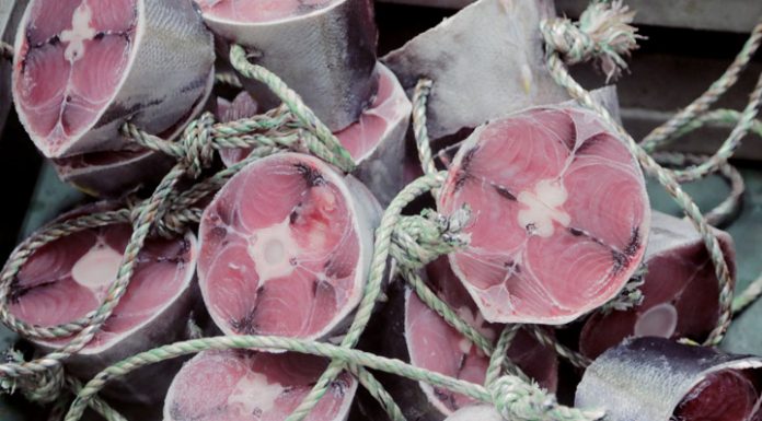 Un japonez a creat o aplicaţie care se asigură că ai sushi de calitate în farfurie