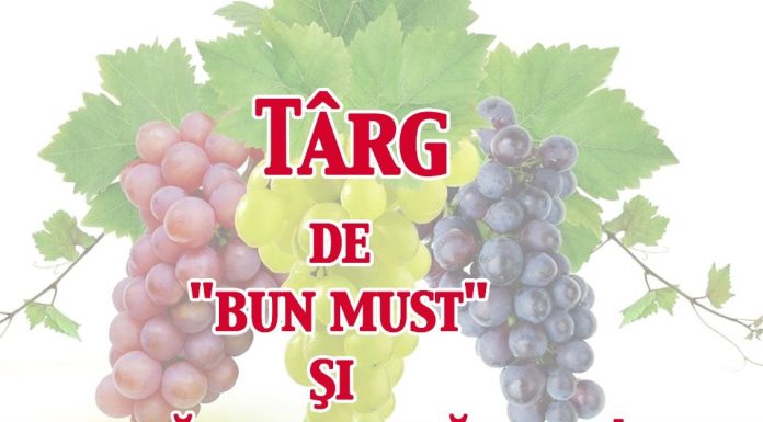„Târg de Bun Must şi Plăcinte După Gust” a început la Sibiu; Ce poţi degusta acolo?