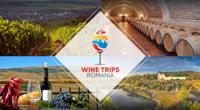 PRO TV pregăteşte o emisiune despre vinuri şi crame, cu Andi Moisescu, Mugur Mihăiescu şi Cove