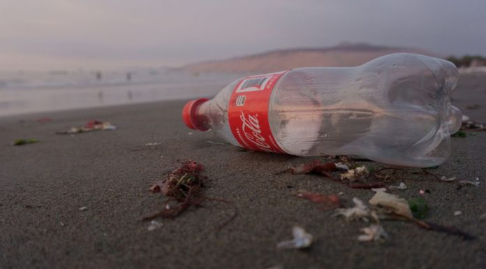 Coca-Cola este brandul cel mai întâlnit în rândul deșeurilor strânse de pe plajele din UK; Programul de returnare a PET-urilor întârzie Coca-Cola