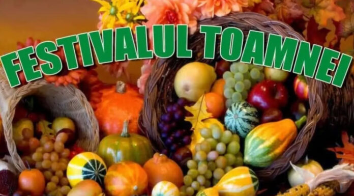 Festivalul Roadele Toamnei vine la Casa Universitarilor pe 11 şi 12 septembrie