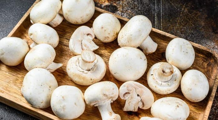 Consumul de ciuperci ar putea fi modalitatea inedită prin care poți reduce depresia Ciuperci