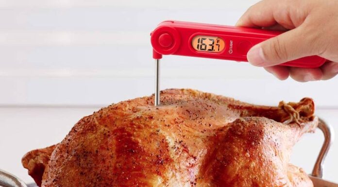 Cele mai bune 5 termometre pentru alimente, pe care le găsești la sub 100 de lei Termometre