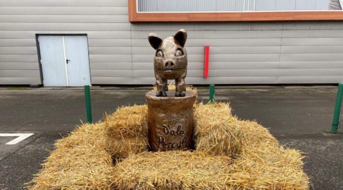 D’ale Porcului, festival concurs cu cea mai bună pălincă începe la Oradea pe 12 martie