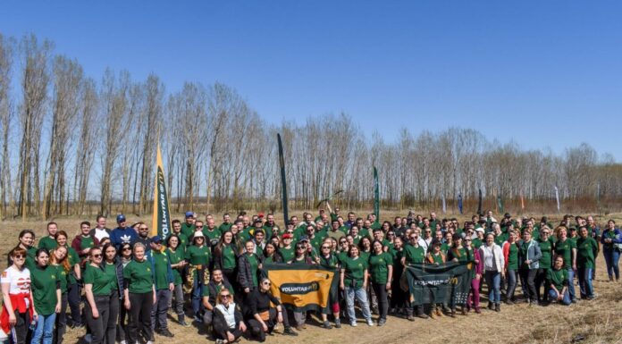 McDonald’s România lansează un program intern de voluntariat: Voluntar@M