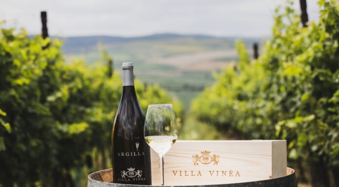 Sezonul vizitelor la cramă se deschide; Escapada de 1 mai propune o incursiune în tradiţiile cramei Villa Vinea