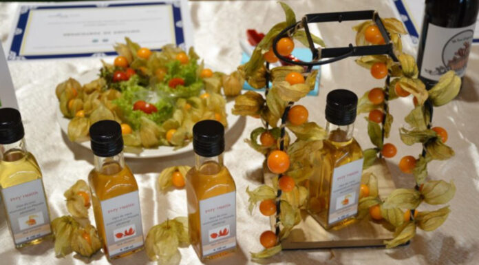 Festivalul Alimentului 2022 are loc pe 27 mai la USAMV Cluj