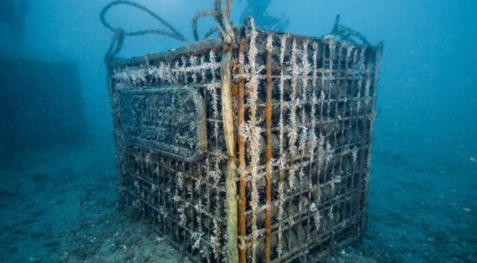 O cramă subacvatică din nordul Spaniei include peste 25.000 de sticle