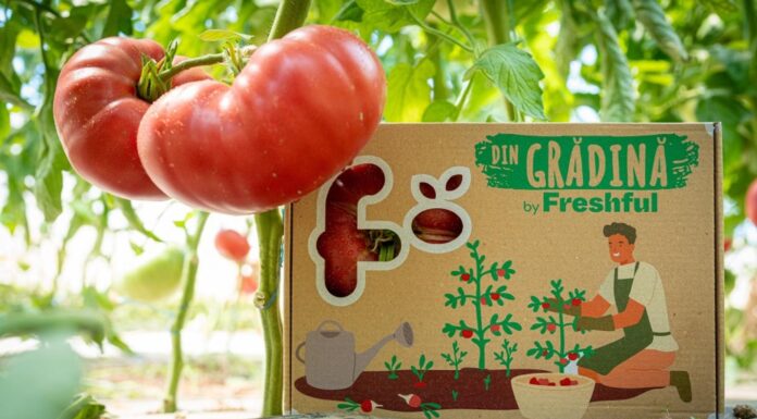 Freshful by eMAG introduce legume din grădină în oferta sa, unele cultivate aproape de Bucureşti