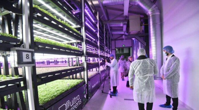 Prima seră verticală din România a fost deschisă: proiect Ultragreens + Kaufland