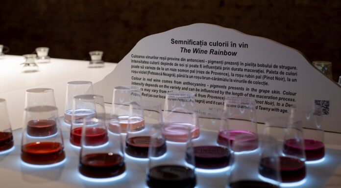 Cramele Recaş pornesc expoziţia interactivă „Bufetul Simţurilor” la Timişoara