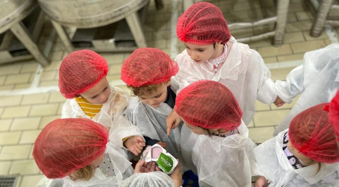 Fabrica de iaurt Danone lansează programul de vizite After School La Danone