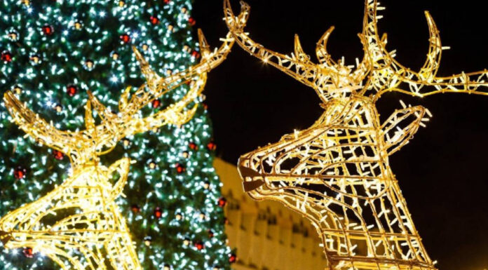 Târgul de Crăciun de la Timişoara e gata de start; Când se aprind luminiţele?