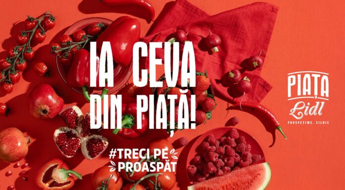 LIDL România susține producătorii locali cu exporturi de afine și zmeură în valoare de aproape 1 milion de euro LIDL