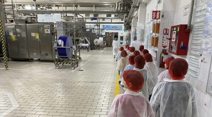 Vrei să vezi cum sunt produse lactatele Danone? Şcolarii şi cei mici pot vizita fabricile companiei