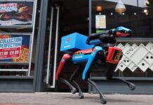 Domino’s Pizza testează livrarea cu un câine robot numit Domidog. Domino’s