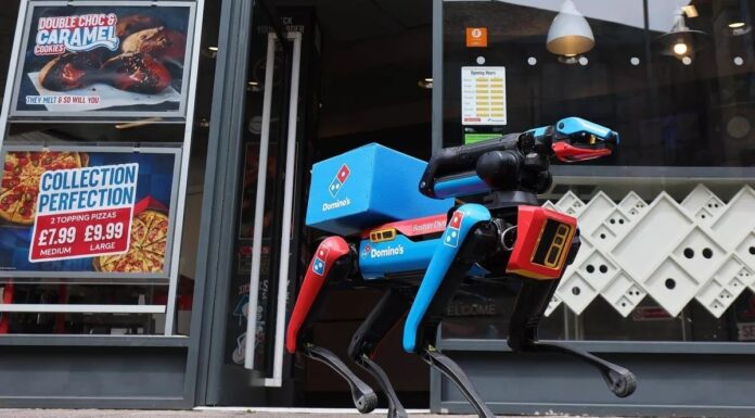 Domino’s Pizza testează livrarea cu un câine robot numit Domidog. Domino’s