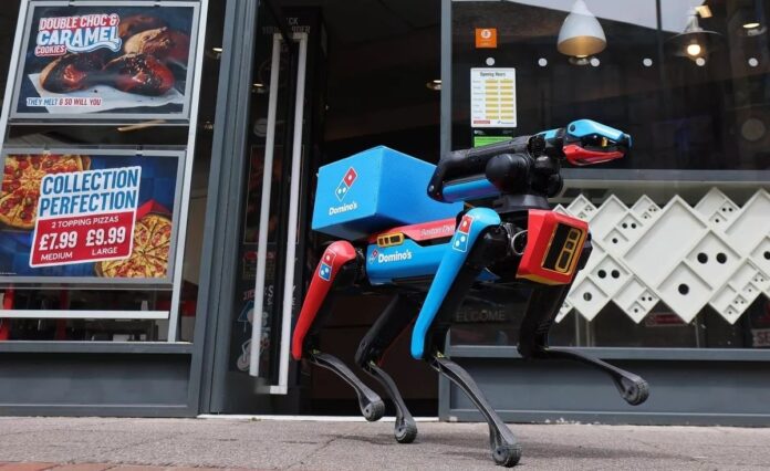 1_PinPep_PizzaDog_240625_152JPGhdhshsh Domino’s