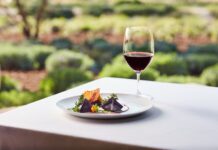 Ghidul Michelin intră și în lumea vinurilor; Michelin