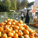 download – 2025-10-17T163334.529