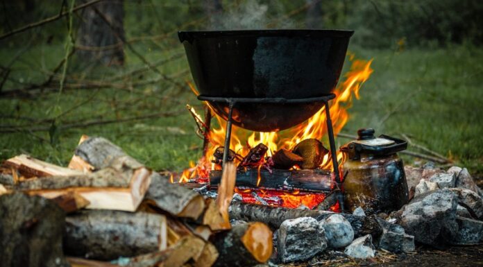 Toamna la Ceaun revine în București, în Parcul Izvor